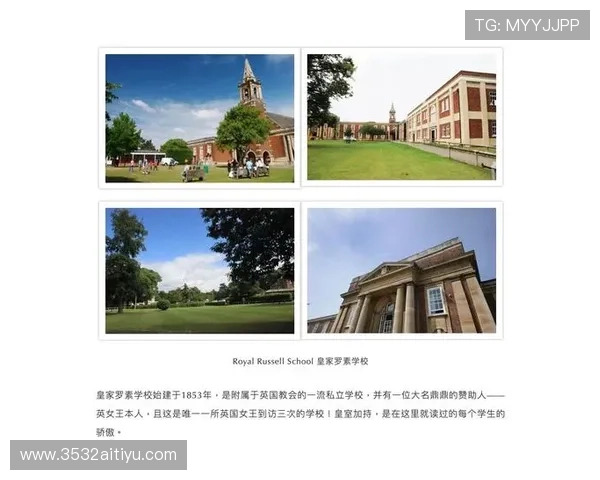 db体育的用户群体：不同年龄层的参与情况